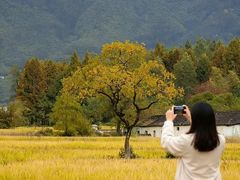-塔川景区