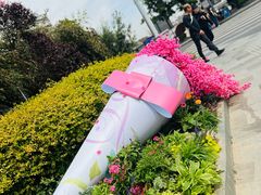 -川沙古镇-停车场