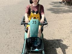 -奥兰多迪士尼动物王国乐园