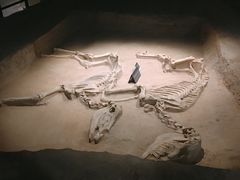 -洛阳周王城天子驾六博物馆