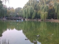 android_upload_pic-玲珑塔公园