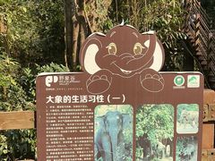 -野象谷景区