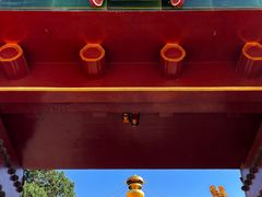 -故宫博物院(故宫)