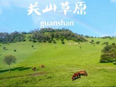 -关山草原