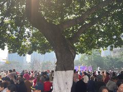 -观音桥步行街