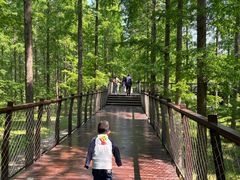 -黄海国家森林公园