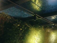-巴厘龙虾·榜首油焖大虾(洞庭·艺术洋房店)