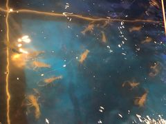 -钳真多钓虾馆·小龙虾海鲜烧烤(九六广场店)