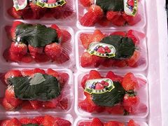 -菜园坝水果市场
