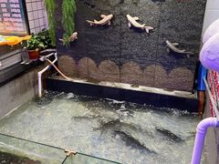 -山河屯铁锅炖(哈西站店)