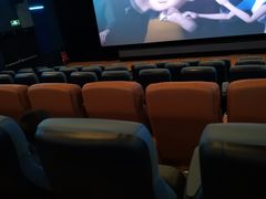 -首都电影院(金融街店 杜比全景声)