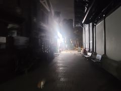 -荔湾湖公园