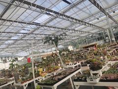 -三圣花乡旅游区