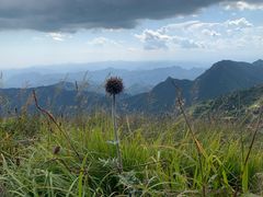 -白草畔自然风景区