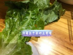 -喜来稀肉(北外滩白玉兰广场店)