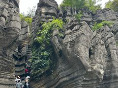 -梭布垭石林景区