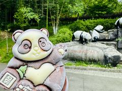 -都江堰中华大熊猫苑