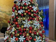 -北京朝阳悠唐皇冠假日酒店