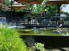-蘇河湾·新鲁菜·泰山宴(泰山店)