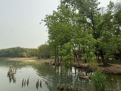 -长广溪湿地公园