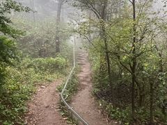 -鲁山国家森林公园