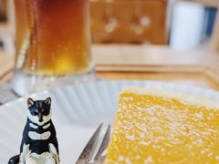 -猫里有甜