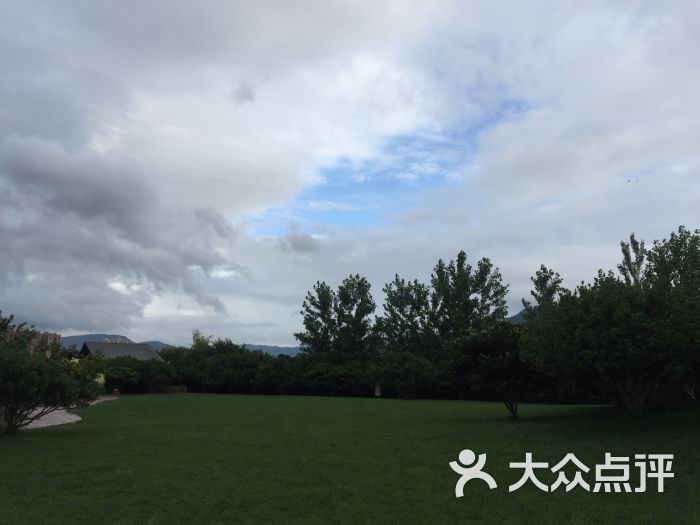 一丘田杨梅庄园-图片-富民县美食-大众点评网