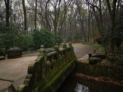 -灵谷景区