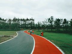 塑胶跑道-上海长兴岛郊野公园