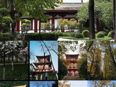 -清真·京华源铜锅涮肉(丰庆店)