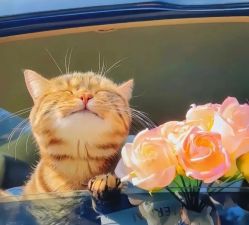 -如一·美甲美睫