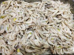-渔码头食府(蓬莱阁店)