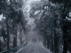 -南岳衡山风景名胜区