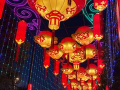 -武汉园博园(武汉自然博物馆)