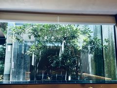 -院子餐厅·大锅菜·老杭帮(桥西直街店)