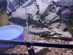 -酷嗒动物文化乐园(cutezoo西溪乐天城店)