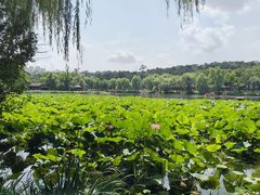 -承德避暑山庄景区