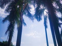 -东风公园
