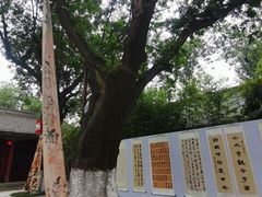 -关中书院
