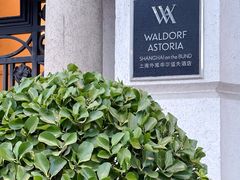 -Salon de Ville浦江汇(上海外滩华尔道夫酒店店)