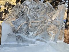 -长春市南湖公园