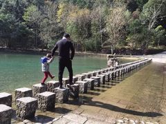 -龙湾潭国家森林公园