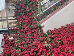 -万隆广场(昆仑大街店)