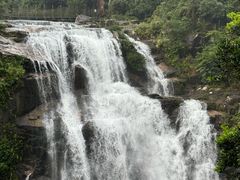 -海南热带雨林国家公园吊罗山景区