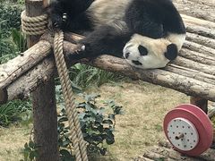 -大连森林动物园