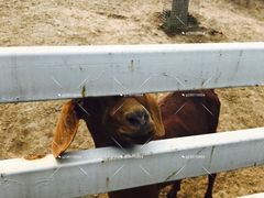 -酷鱼垂钓CLUB(朝阳区博大路店 )