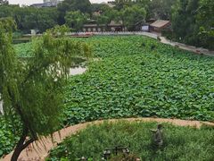 -郭守敬纪念馆
