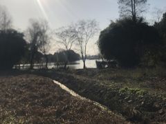 -白塔湖国家湿地公园