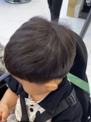 -YESIDO椰岛造型