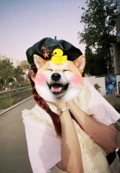 -INSTYLE造型·明星店